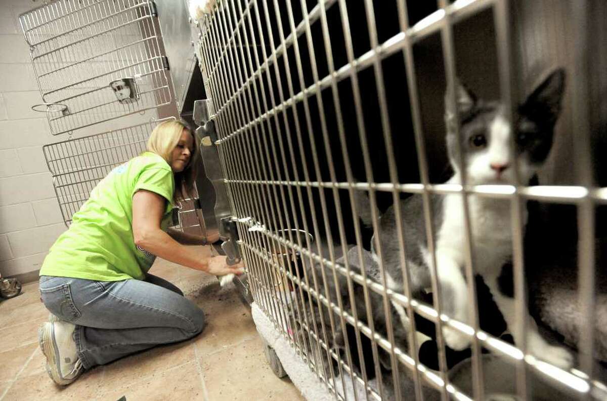 Humane Society of Southeast Texas cares for more than 1,000 animals