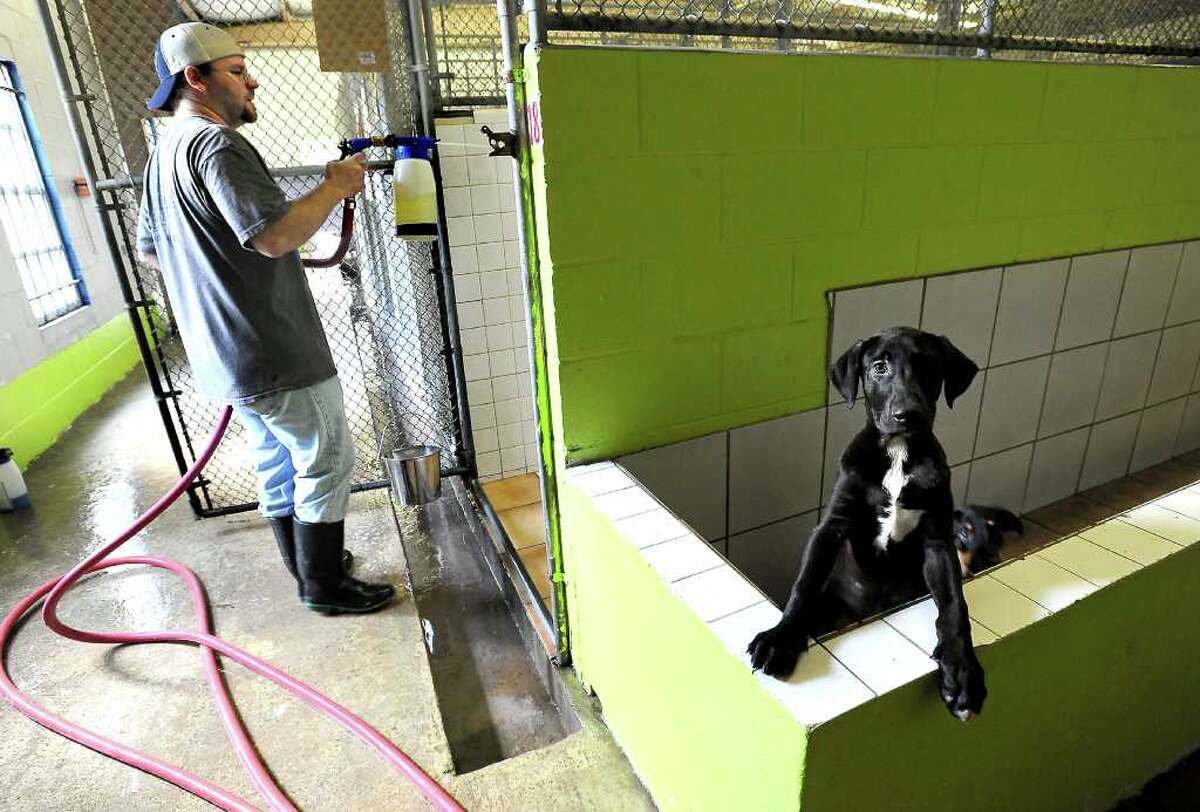 Humane Society of Southeast Texas cares for more than 1,000 animals
