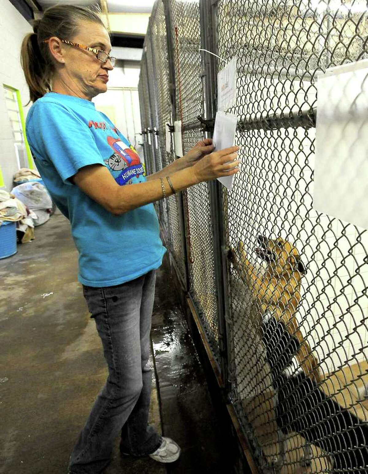 Humane Society of Southeast Texas cares for more than 1,000 animals