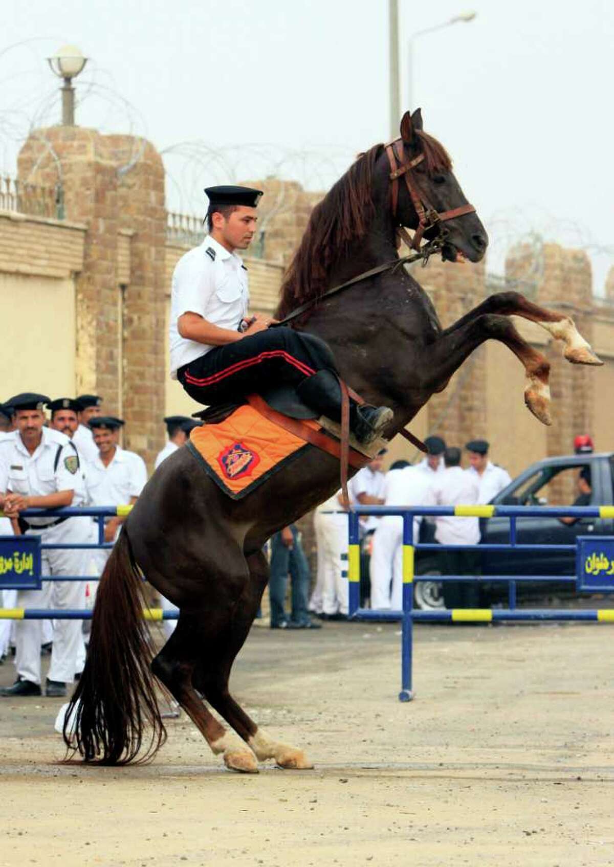 A horse stands on his back legs as an Egyptian policeman guards outside police academy court in Cairo, Egypt, Monday, Sept.5, 2011. Mubarak, his two sons Alaa and Gamal, his security chief Habib el-Adly and six top police officers face third session of trial, on charges they ordered the use of lethal force against protesters during Egypt's 18-day uprising. Some 850 protesters were killed. Poster at center showing one of the killed protesters. (AP Photo/Amr Nabil)