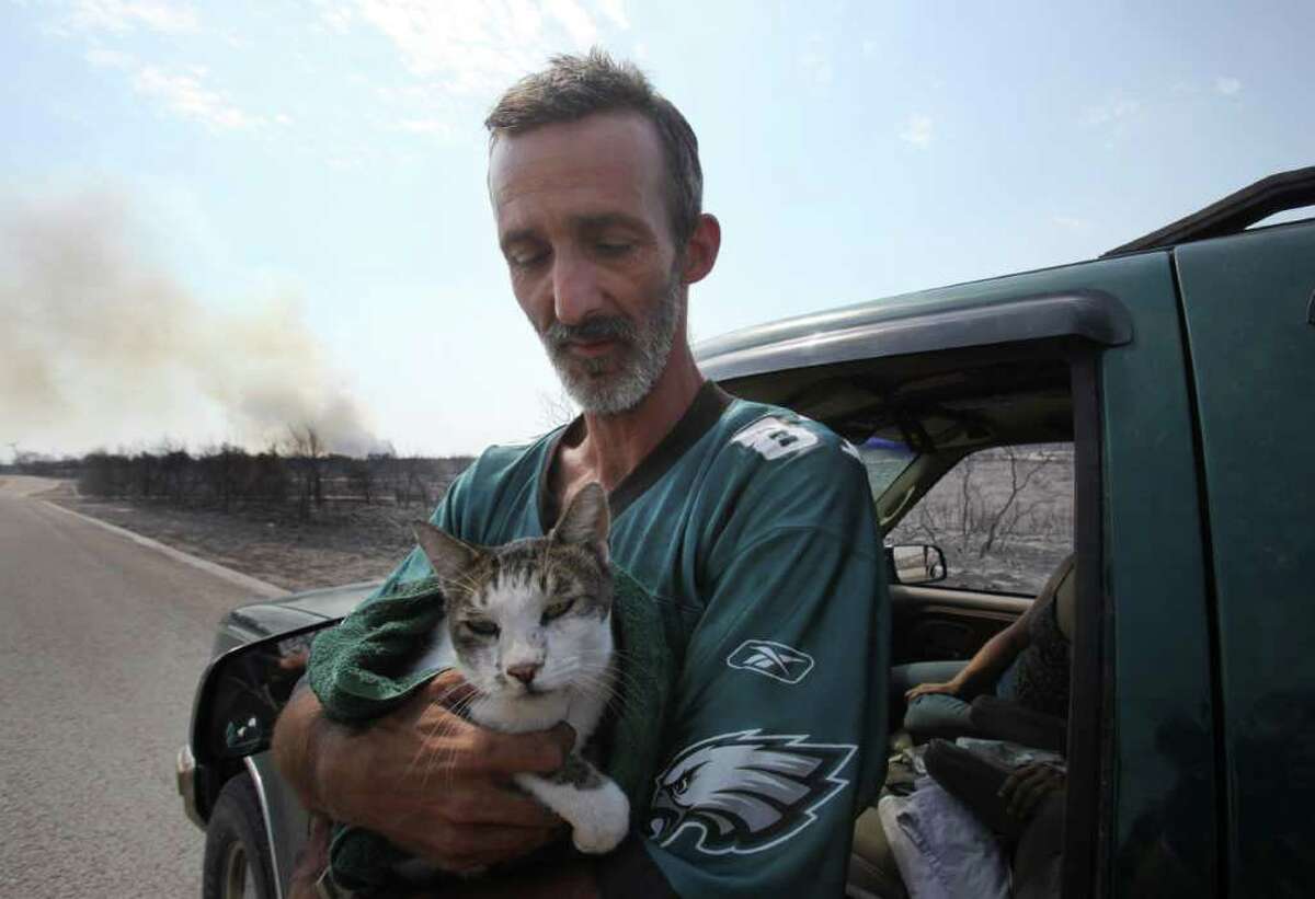LM OTERO : ASSOCIATED PRESS SANCTUARY: Mike Hester holds a cat he rescued from an area destroyed by a wildfire at Possum Kingdom Lake in August.