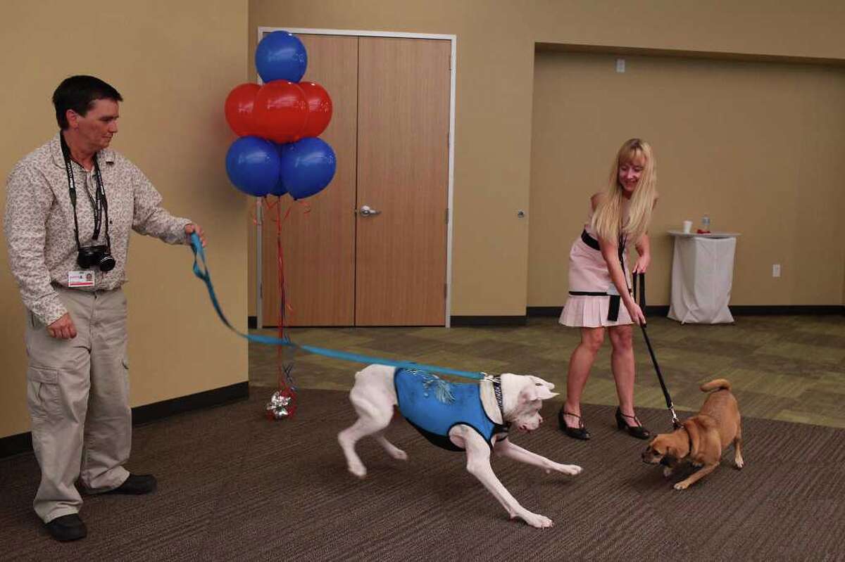 Petco formally opens S.A. corporate center