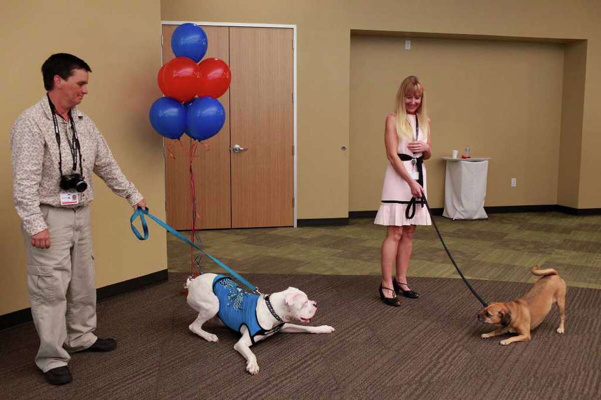 Petco formally opens S.A. corporate center