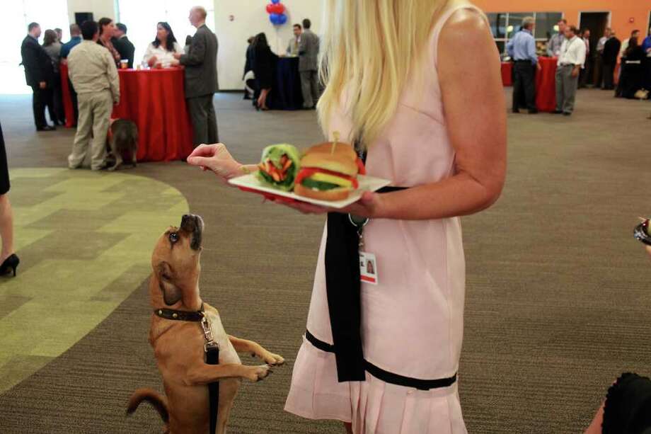 Petco formally opens S.A. corporate center San Antonio ExpressNews