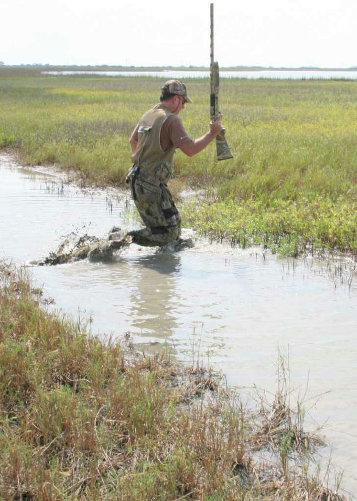 Bird Hunting In The Marsh