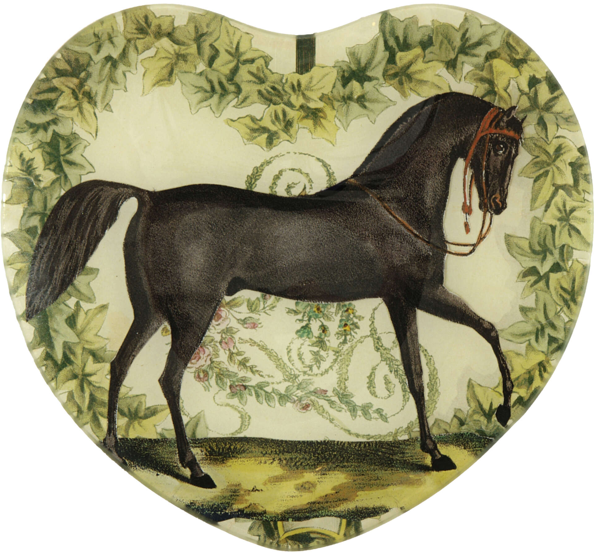 Artist John Derian fills 'Picture Book' with rich imagery