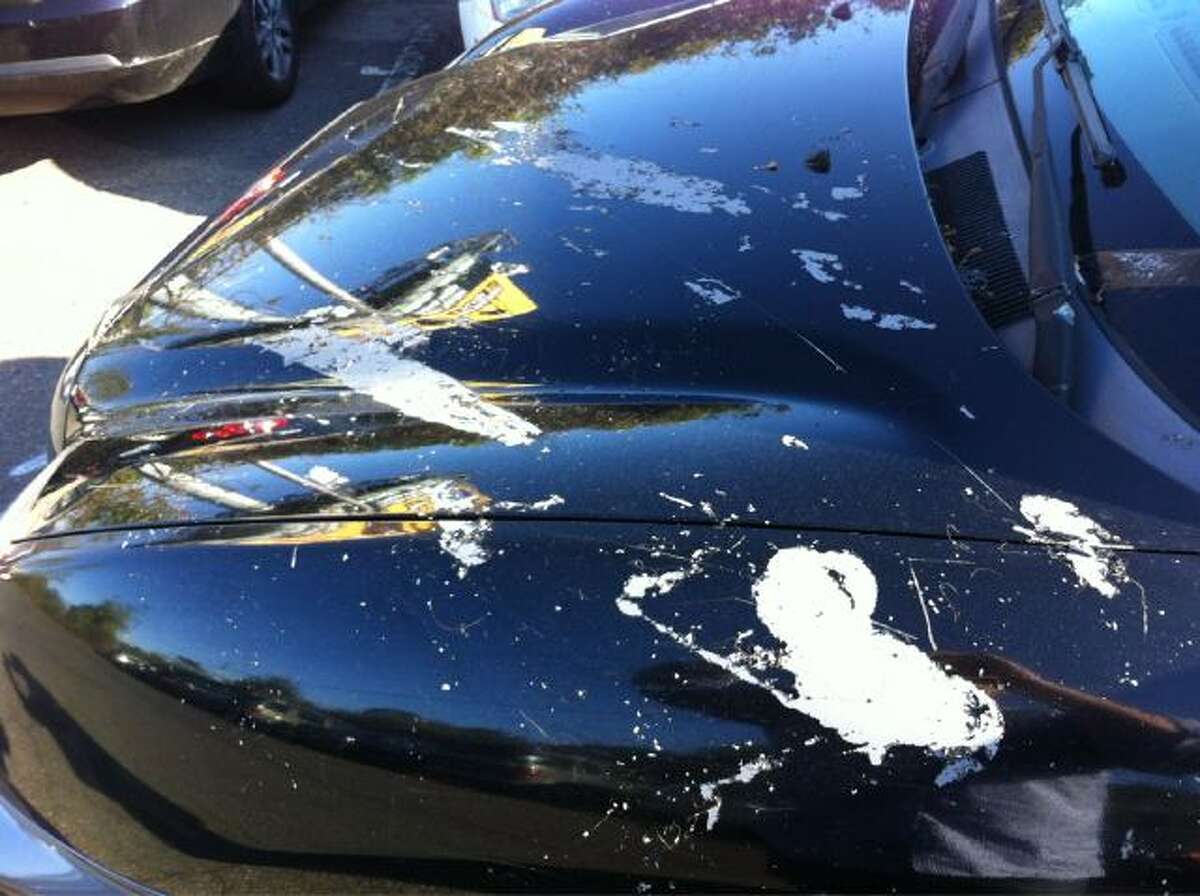 Acid Dumped On 13 Cars In Stratford