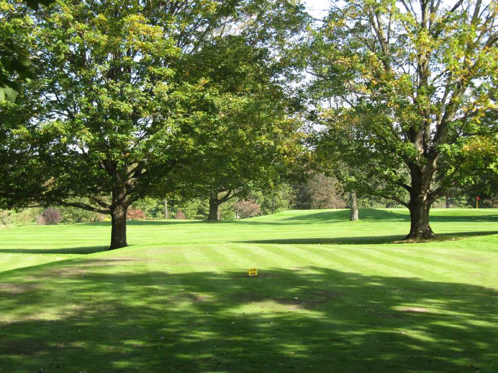 Birchwood Country Club plans upgrade for subpar facilities