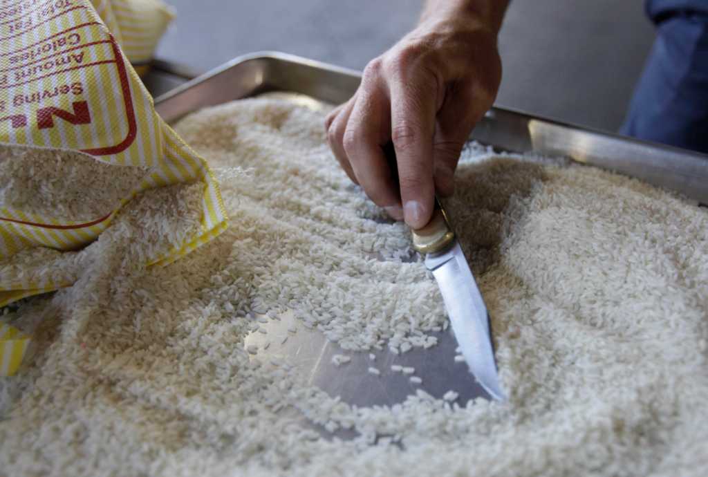 Foreign insects, diseases slipped into U.S. after 9/11