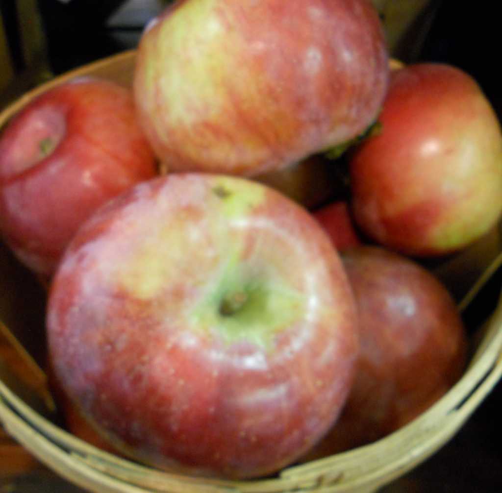 Eatdrinkshopcook A Is For Amazing Apple Pie Westport News