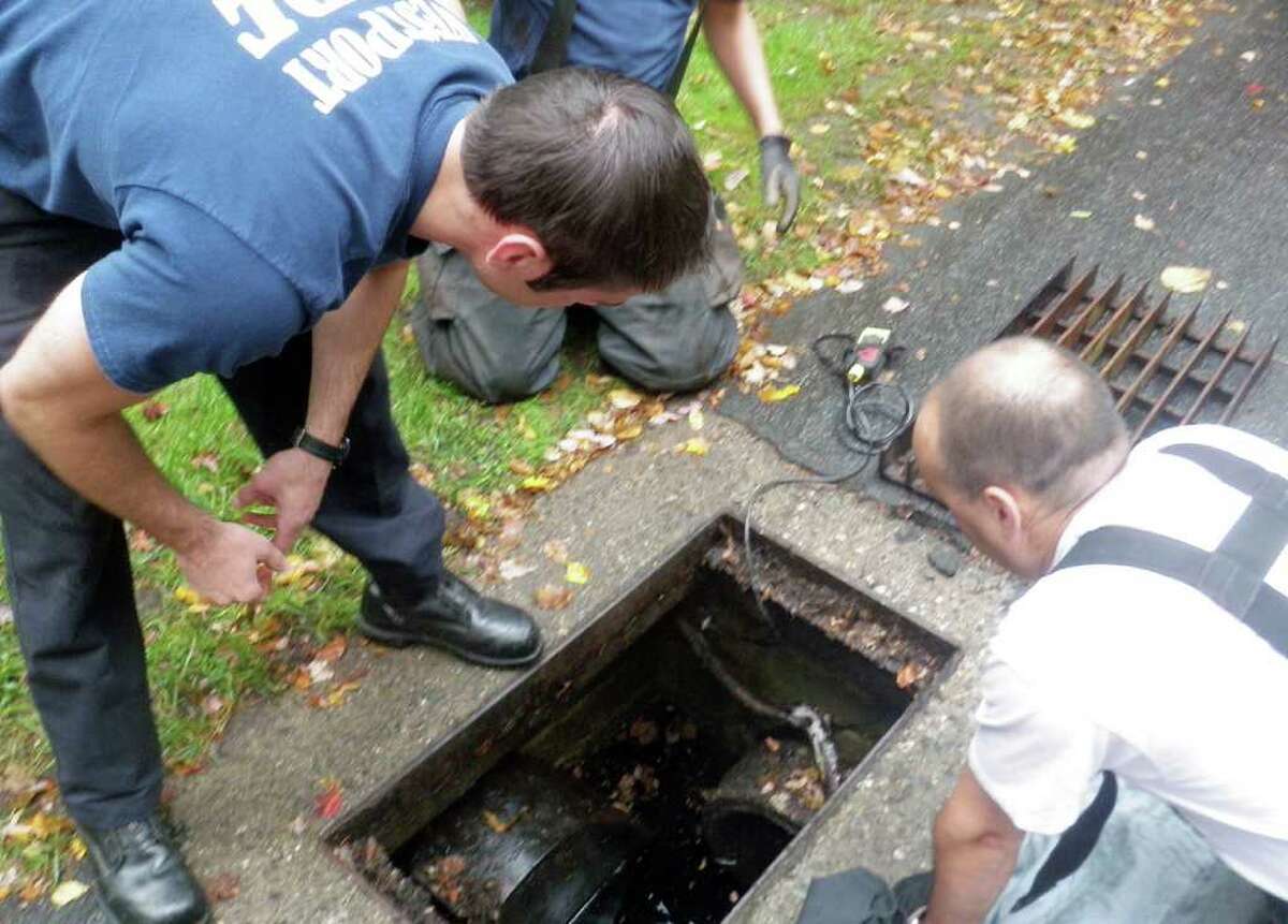 Westport firefighters rescued a cat from a storm drain.