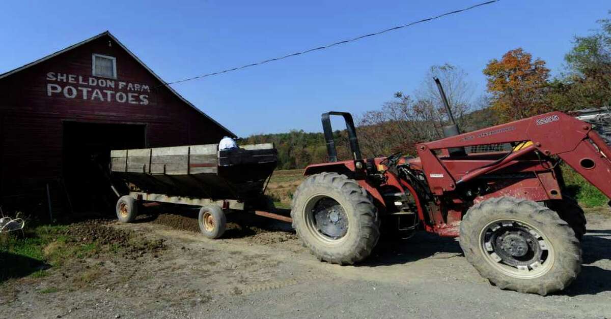 A lost harvest at Sheldon Farms
