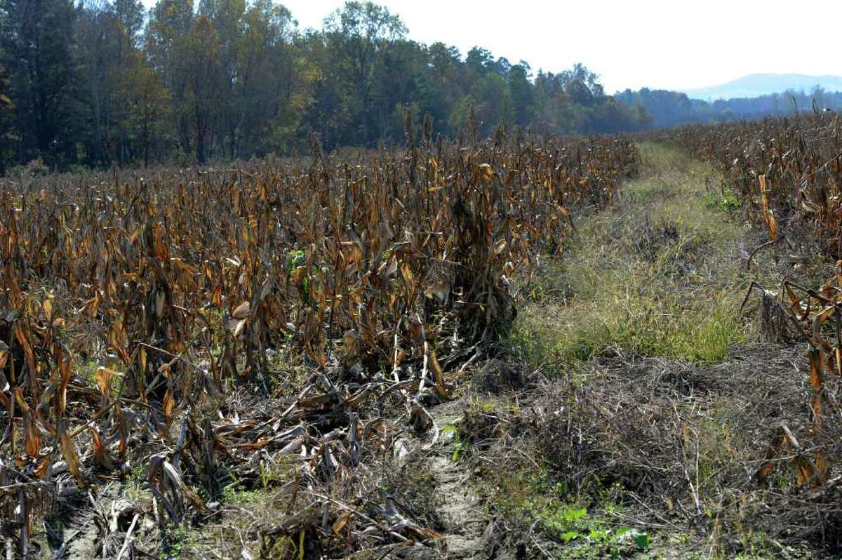 A lost harvest at Sheldon Farms