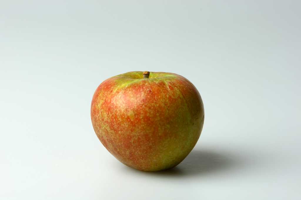 SweeTango Apples Arrive From New Zealand - Perishable News