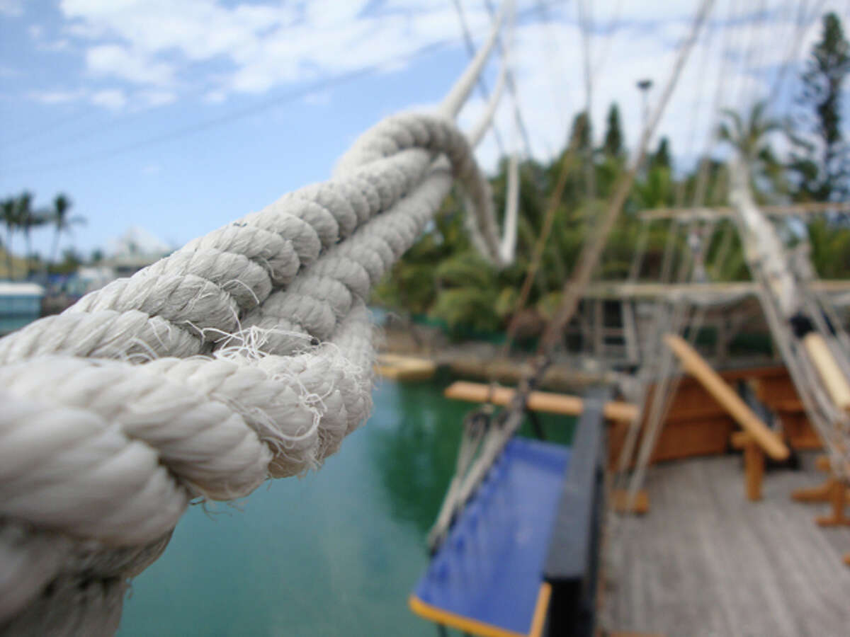 Where did that come from?