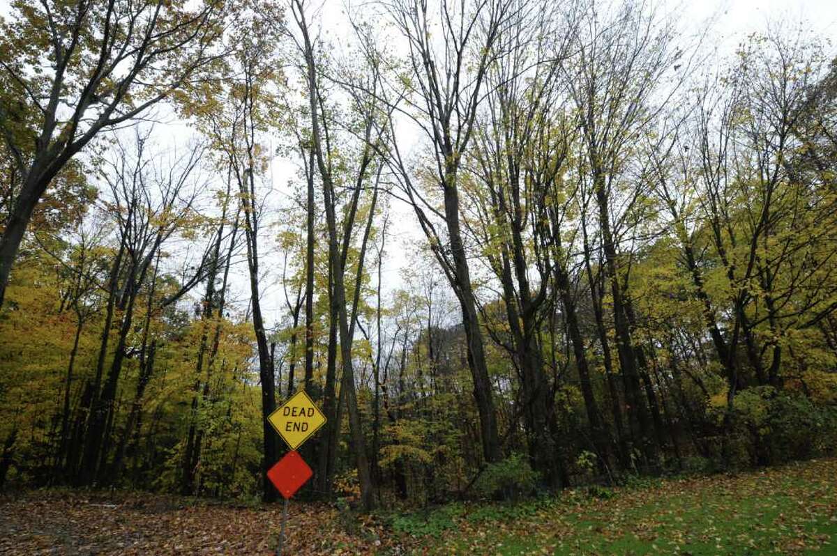 The wooded area between Olde Coach Road and Country Fair Land October 27, 2011, was the area that police search yesterday in Glenville, N.Y. for potential clues to a woman missing since 1979. (Skip Dickstein/Times Union)