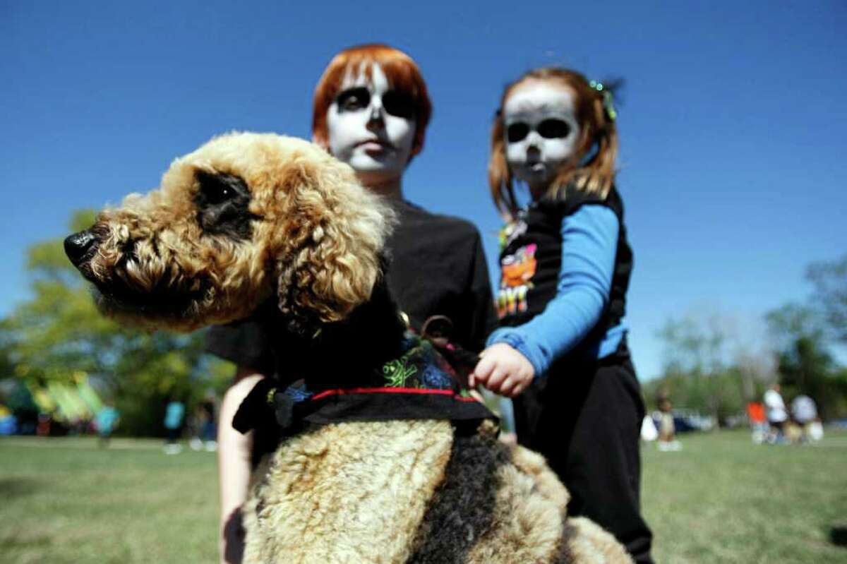 Jackson the Tornado Dog wins 16th annual Halloween costume contest