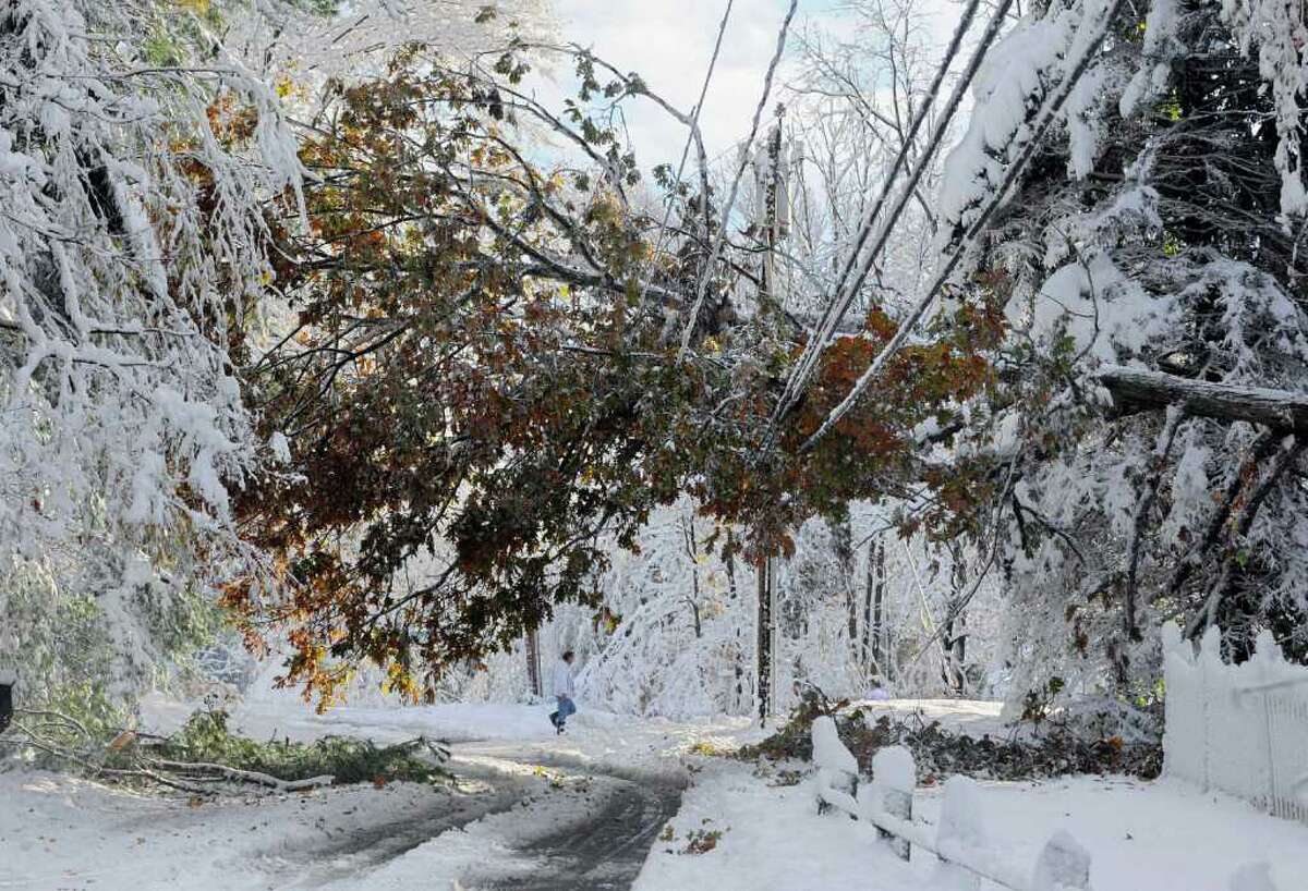 A man walks near a tree down on a power line a day after a snow storm in Glastonbury, Conn., Sunday, Oct. 30, 2011. (AP Photo/Jessica Hill)