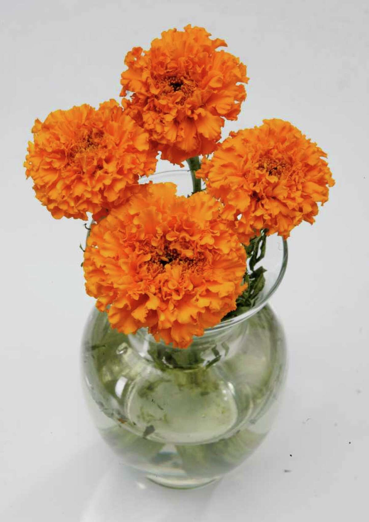 Cheerful marigold is flower of the dead