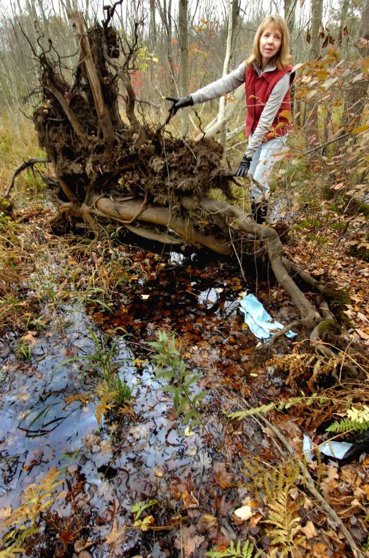 Neighbors request input in Housatonic Railroad's violation hearings