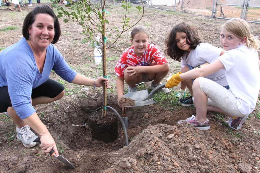 Richmond church's community garden earns 6th place in contest