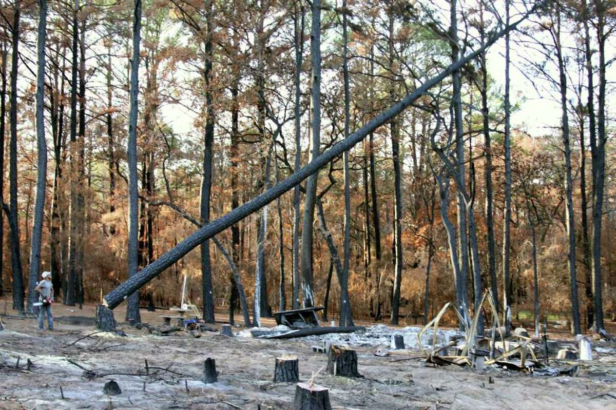FORREST M. MIMS III MAKING ROOM: A Christian Disaster Relief volunteer fells a 65-feet tall burnt pine behind the foundation of an incinerated house (right foreground) near Bastrop.