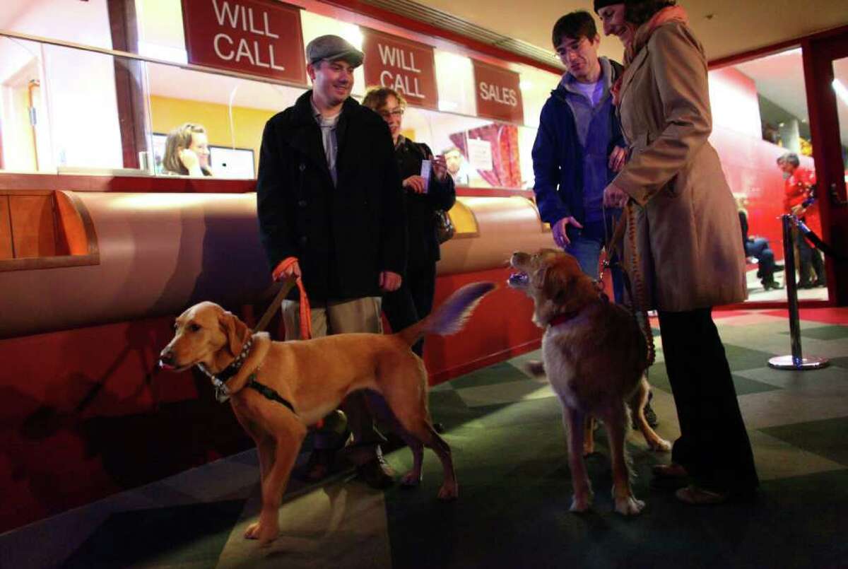 Paul Crisalli holds onto the leash of Scout as Nicole Jabaily holds onto the leash of Quickly at the ticket window during 'Dogs Night Out' at the Seattle Repertory Theatre on Sunday, November 13, 2011. 100 dogs were welcomed into the theater to see the show "Sylvia" with their owners on Sunday.
