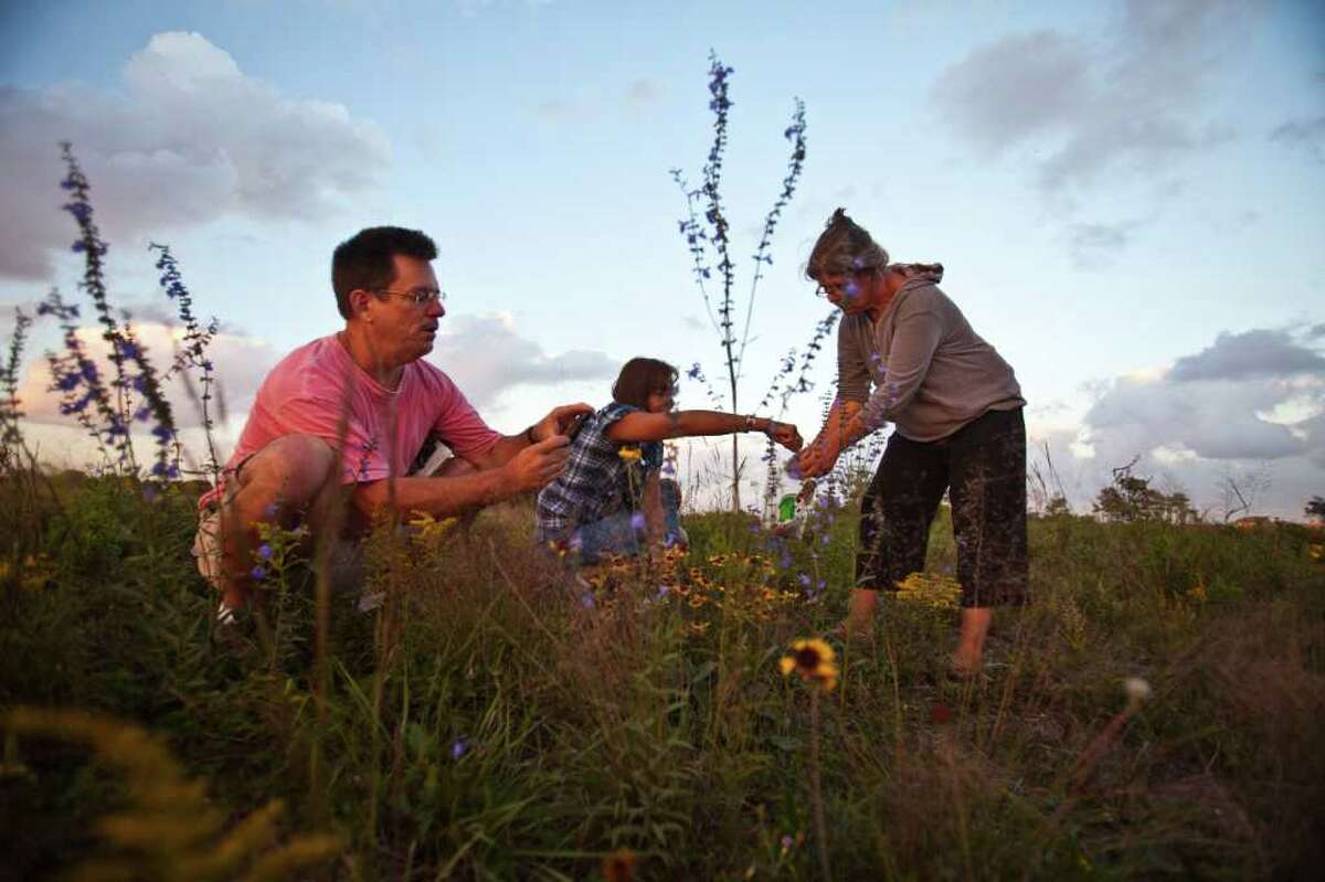 Chris Gray, left, along with plant enthusiasts Kelly Walker and Jane Reierson as they scour a pristine coastal prairie off Spencer Highway Nov. 2, 2011 in Deer Park, TX. Their goal was to harvest plants and seeds. (Eric Kayne/For the Chronicle)