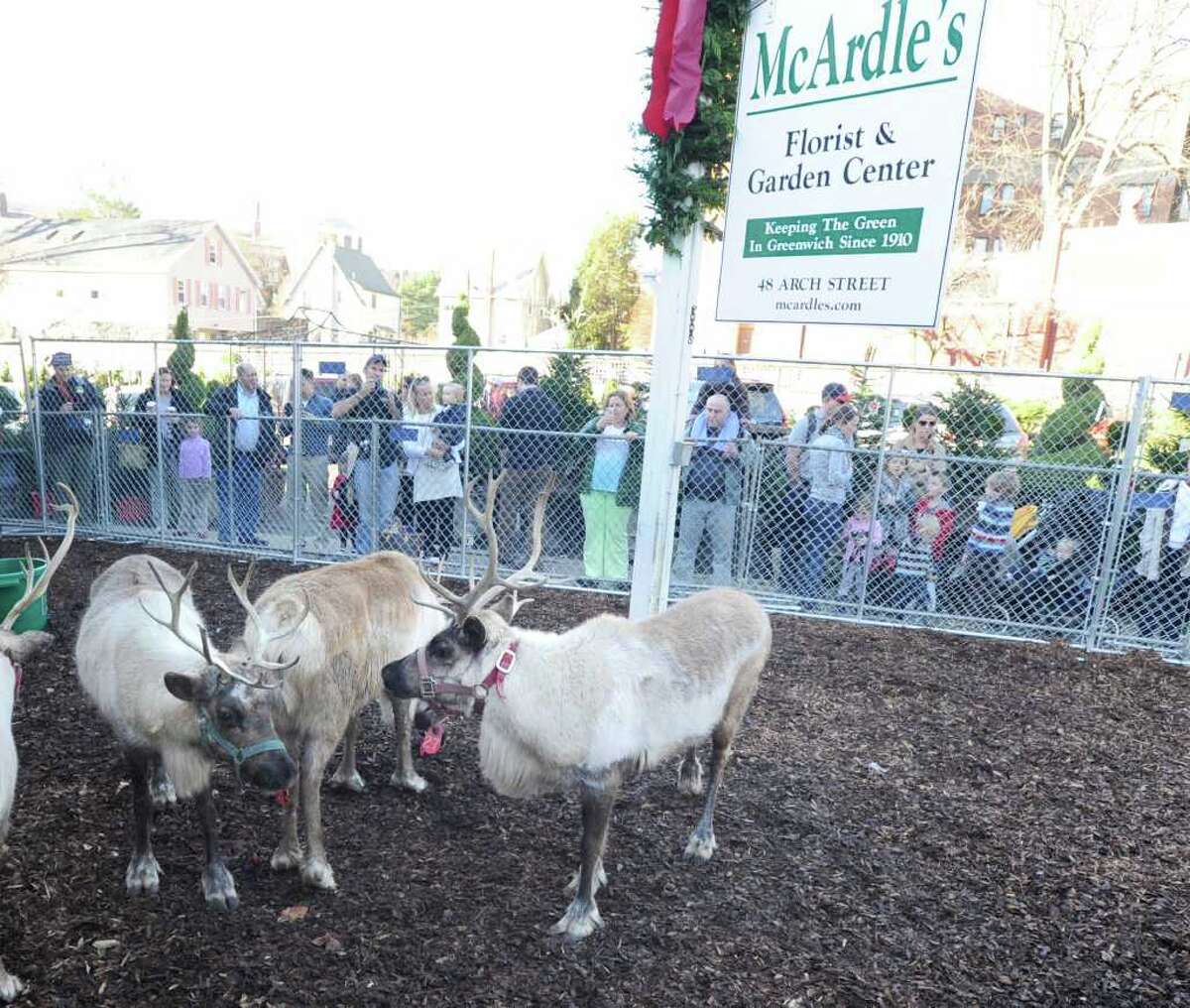 Holiday festival kicks off on Greenwich Avenue