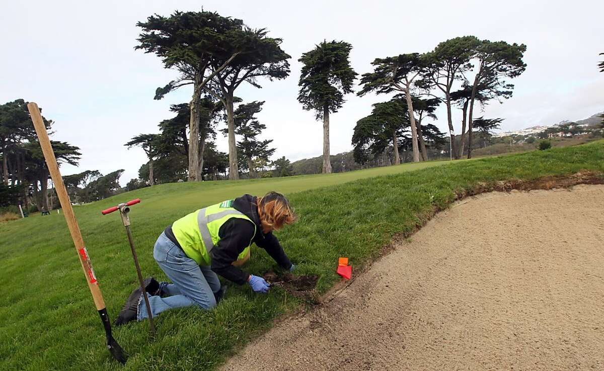 Sheila Bradford pockets gophers on SF golf courses