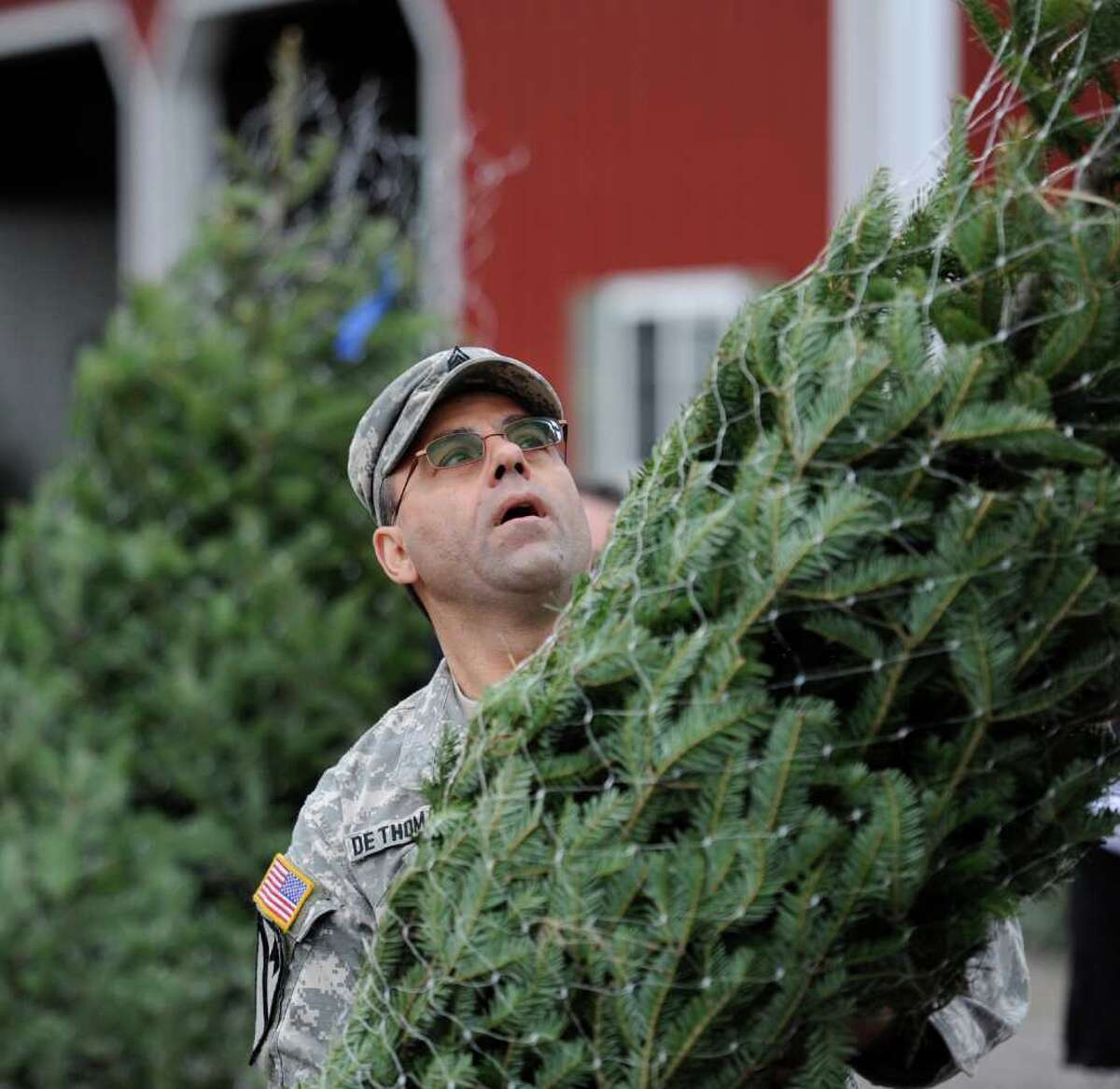 Photos Trees for Troops