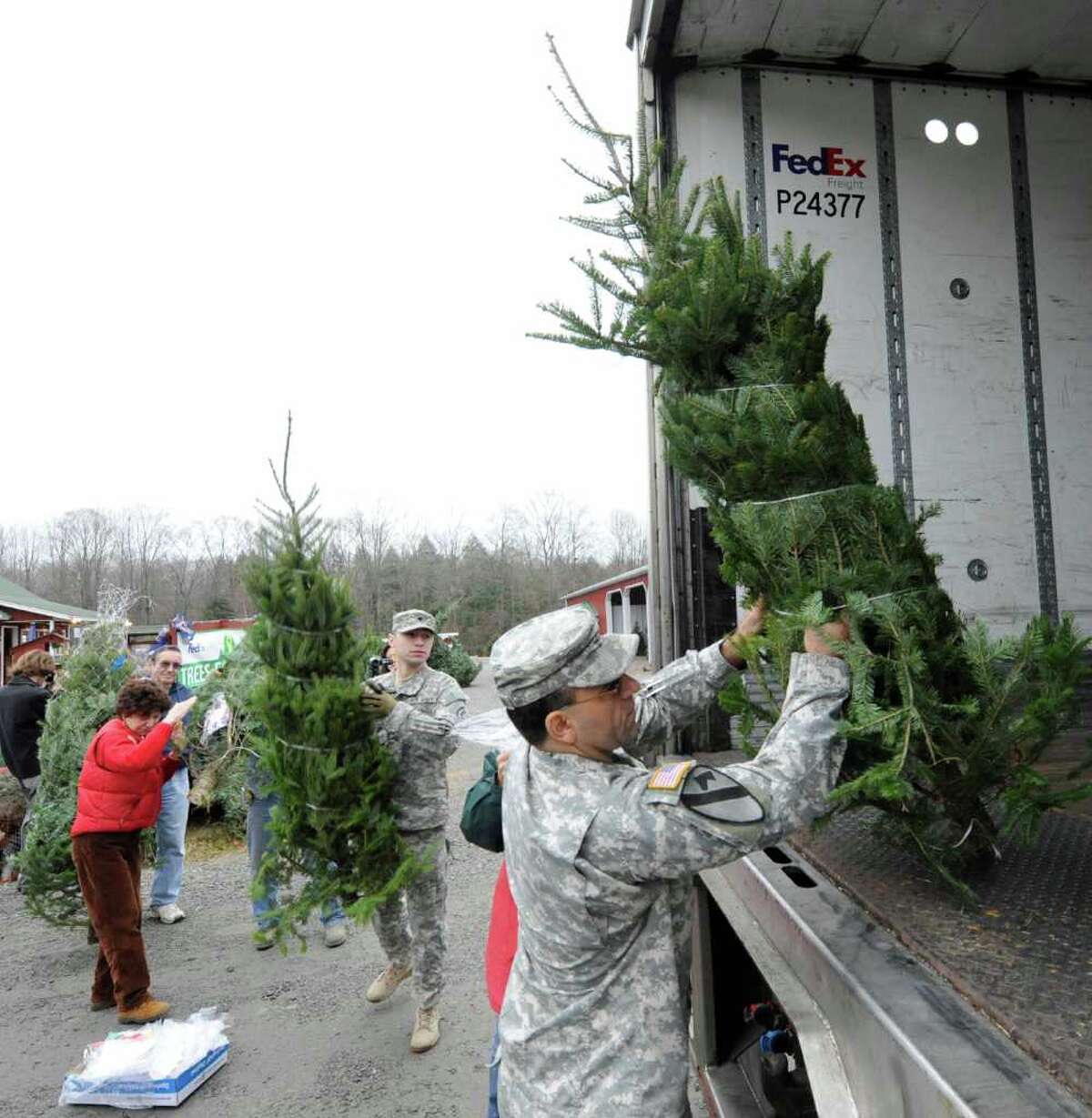 Photos Trees for Troops