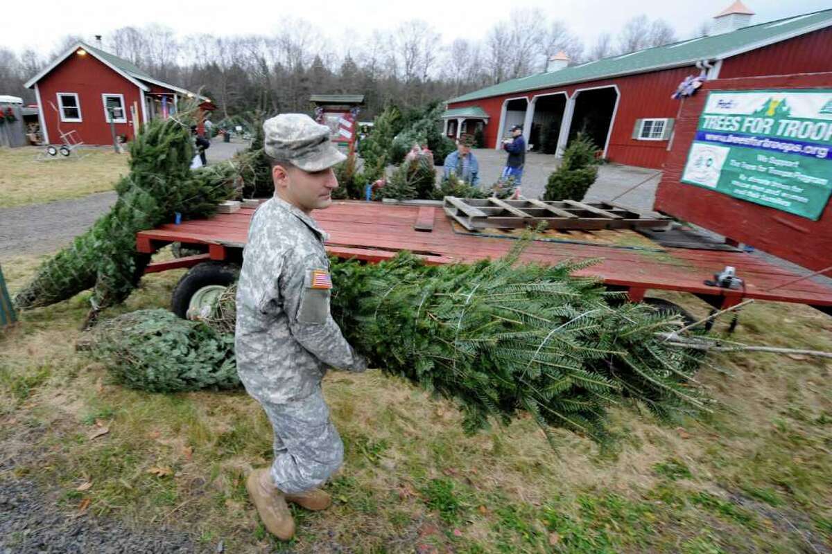 Photos Trees for Troops