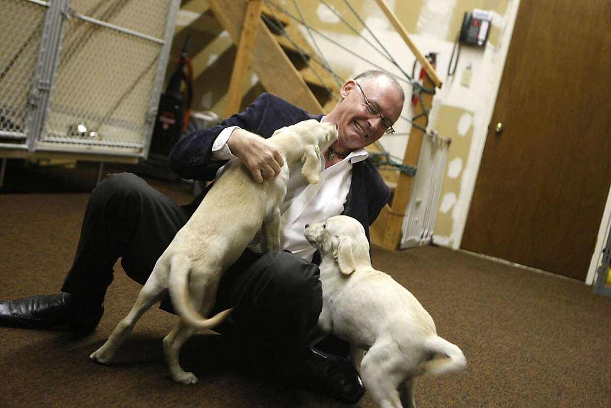 Mark Botten, Director of Pet Express, an animal transport business, plays with guide dog puppies in Brisbane, Calif., on Tuesday, Sept. 27, 2011.