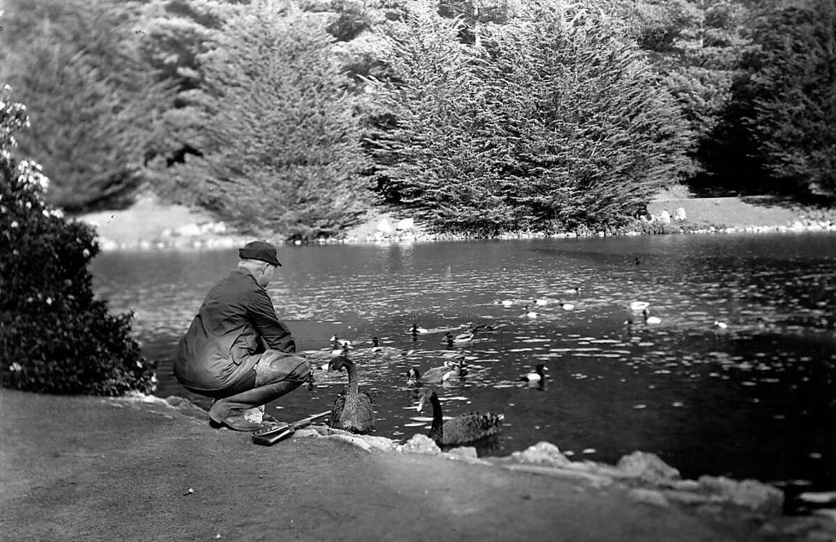 Let's go to the A century of Stow Lake in Golden Gate Park
