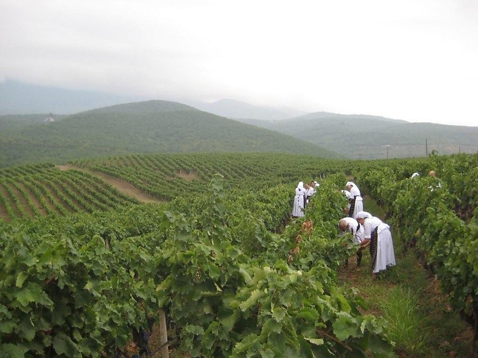 Northern Greece's Macedonian wine country delights