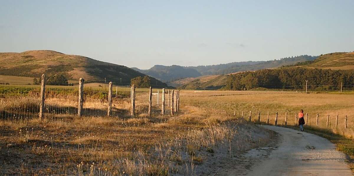 The Cowell-Purisima Trail off Highway 1, 3 miles south of Half Moon Bay.