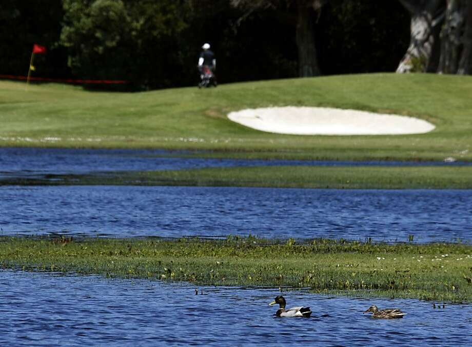 Sfs Sharp Park Should Continue As Golf Course Sfgate - 