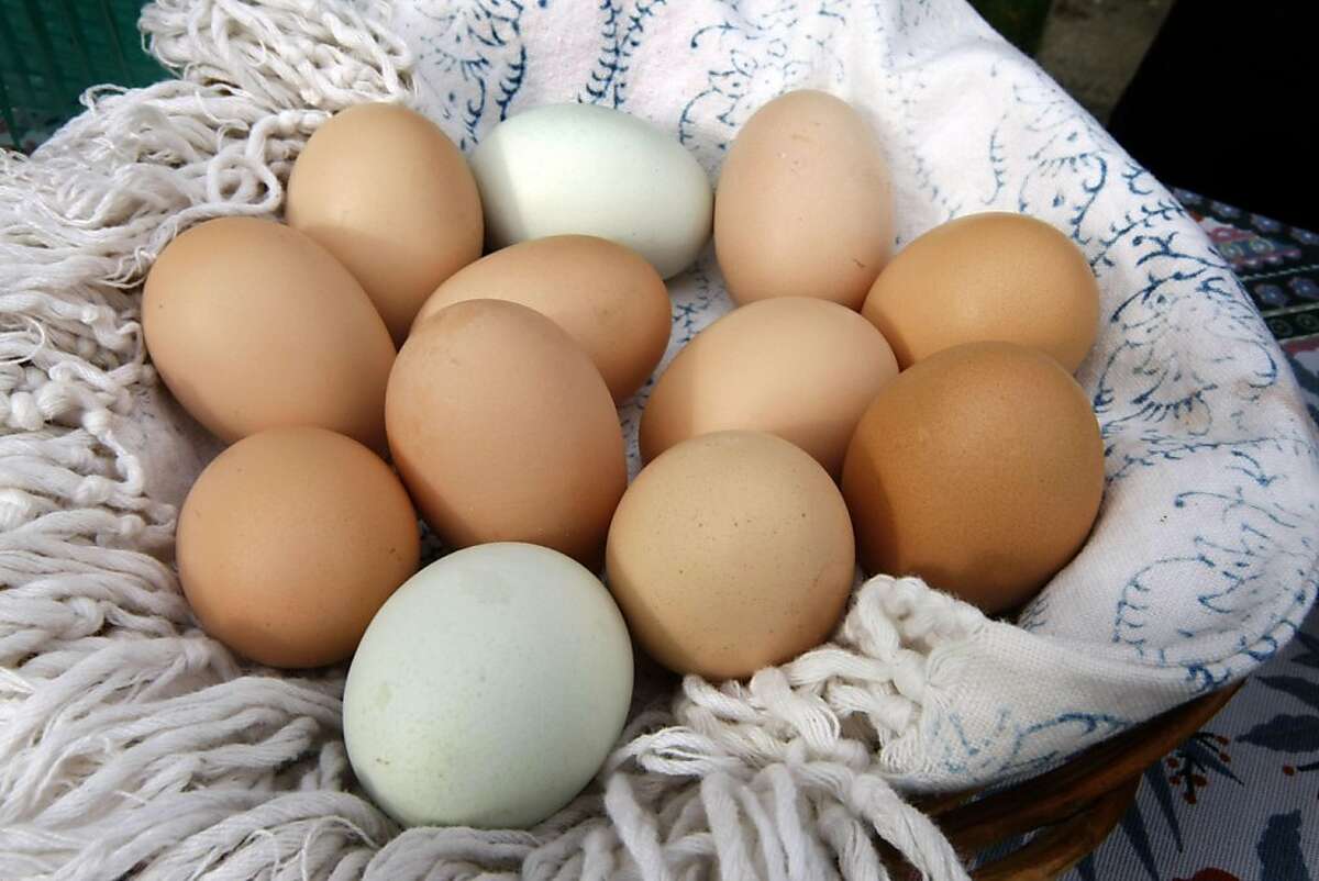 Fresh organic eggs are offered at the San Anselmo Garden Exchange which holds a weekly crop swap on the lawn in front of the Town Hall every Saturday morning between 9am and 10. Trade your excess plants and vegetables with your neighbors. Saturday August 20, 2011