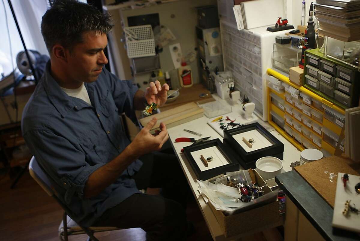 Kevin Clarke - a biologist, artist, and entrepreneur - works on an insect in his home studio in San Francisco, Calif., on Monday, Oct. 10, 2011. Clarke uses preserved insects to create artwork and dioramas.