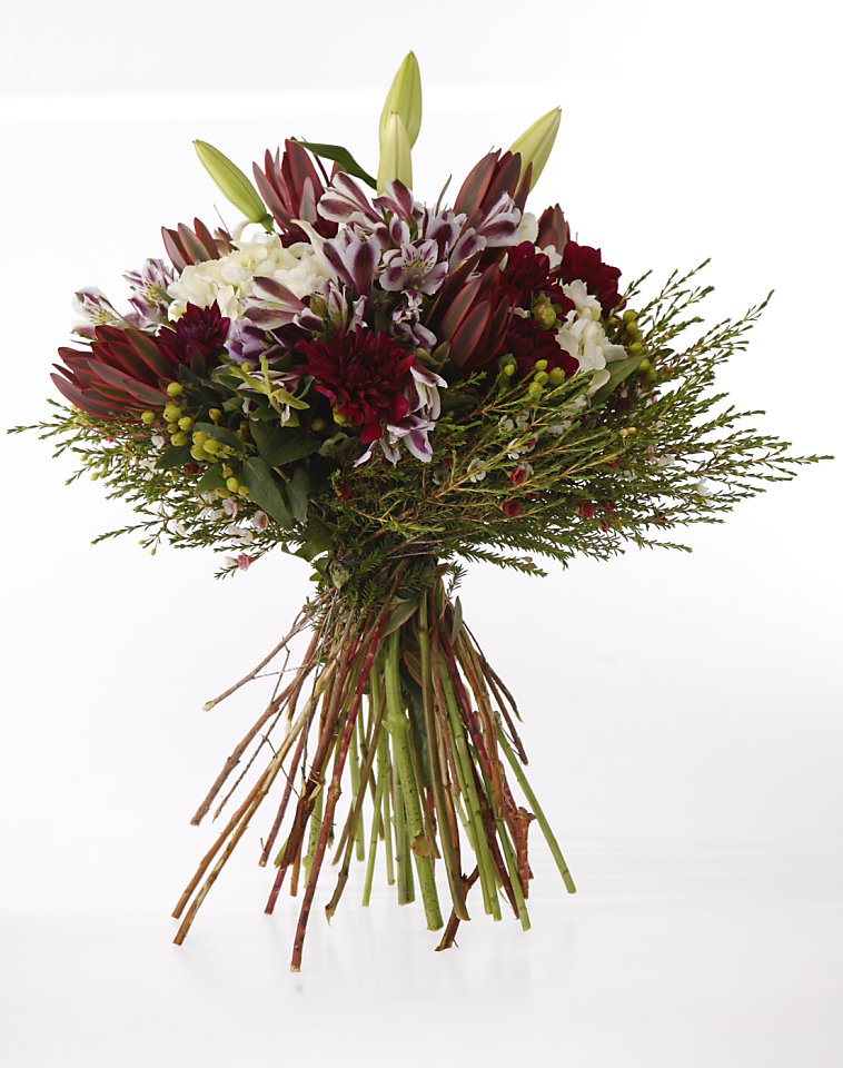 Floral Expert Michael Gaffney Gives Dahlias Due 