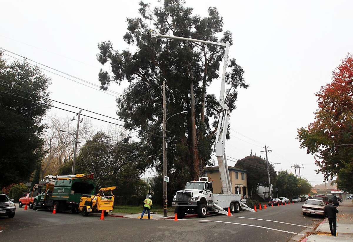 Strong winds expected to blow away the fog