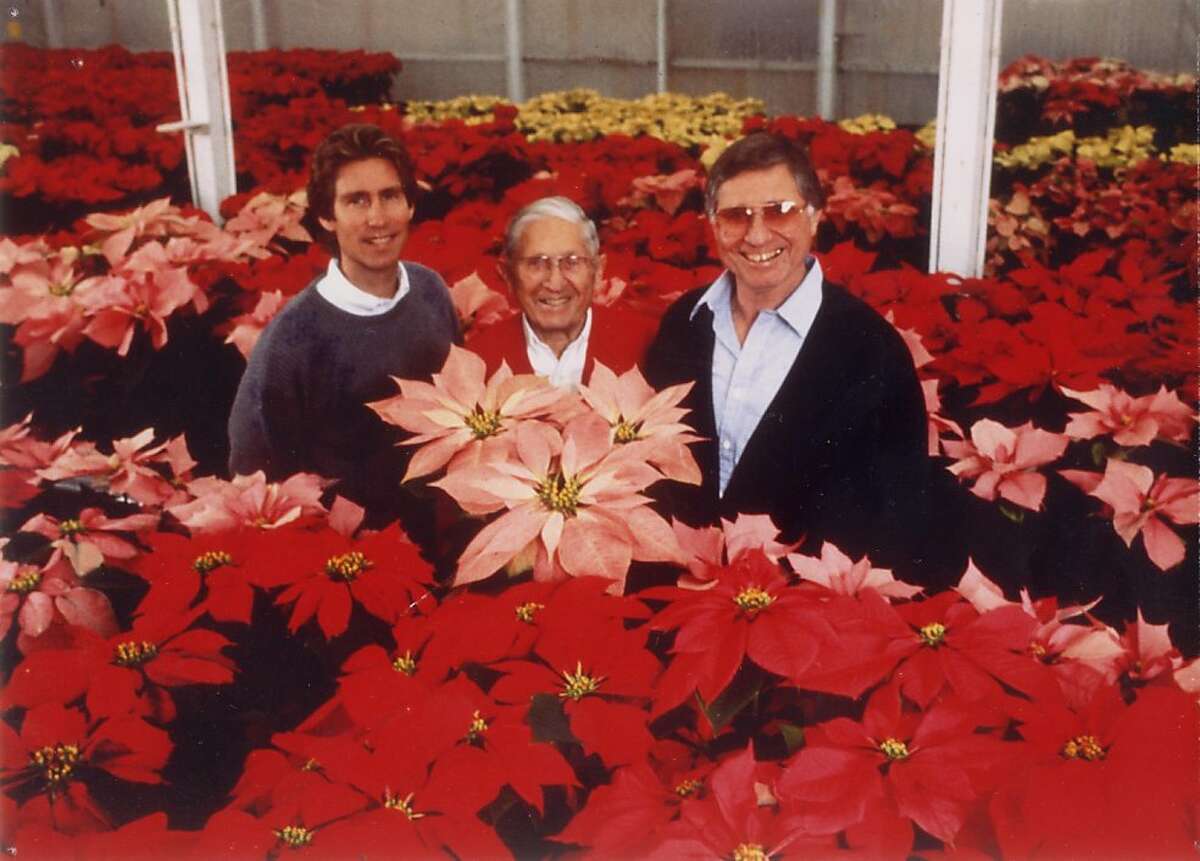 From left, Poinsettia moguls Paul Ecke III, Paul Ecke Sr., and Paul Ecke Jr. show off some of their spectacular holiday wares.