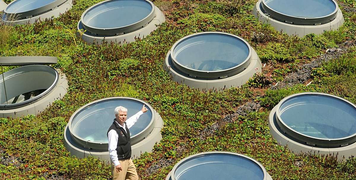 Frank Almeda, a senior curator at the California Academy of Sciences, discusses features of the building's living roof on Friday, Sept. 2, 2011, in San Francisco.