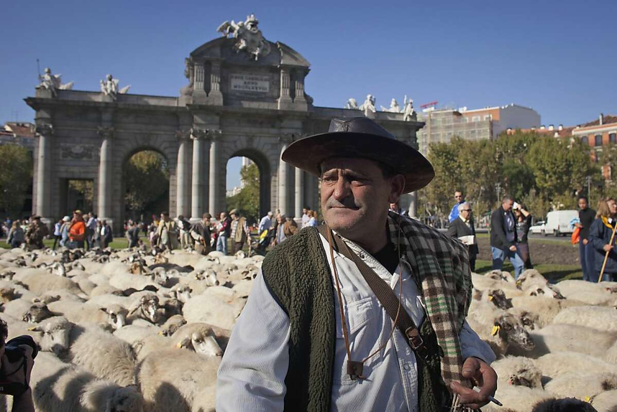 A shepherd leads a flock of sheep along Alcala street during an annual parade in Madrid Sunday Oct. 30, 2011.Spanish shepherds are leading flocks of sheep through the streets of downtown Madrid in defense of ancient grazing, migration and droving rights threatened by urban sprawl and man-made frontiers. Jesus Garzon, president of a shepherds council established in 1273, said some 5,000 sheep and 60 cattle are crossing the city Sunday to exercise the right to droving routes that existed before Madrid grew from a rural hamlet to the great capital it is today. (AP Photo/Arturo Rodriguez)