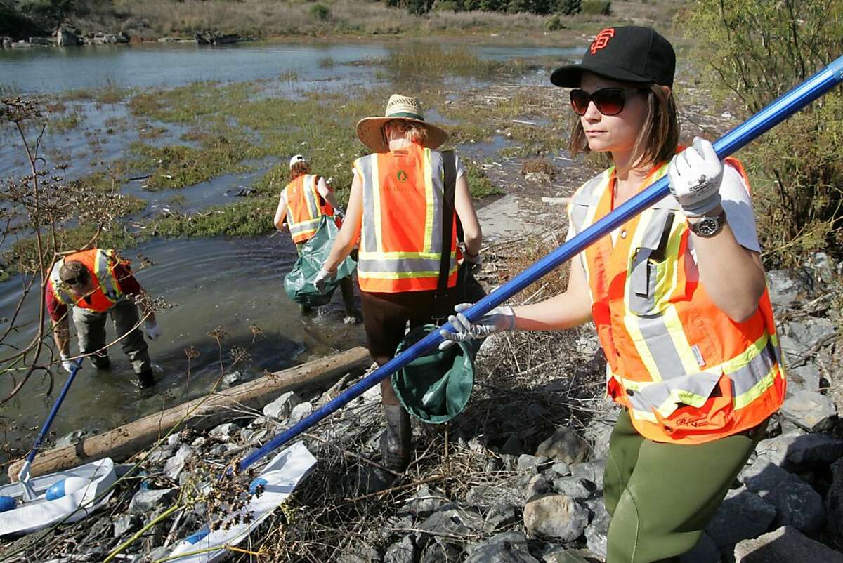 Rachel Yedlin and other members of the Otis Institute enter the bay to collect nurdles which are small pre-production plastic pellets on Friday, Oct. 28, 2011 at the Oyster Bay Regional Shoreline in San Leandro, Calif.