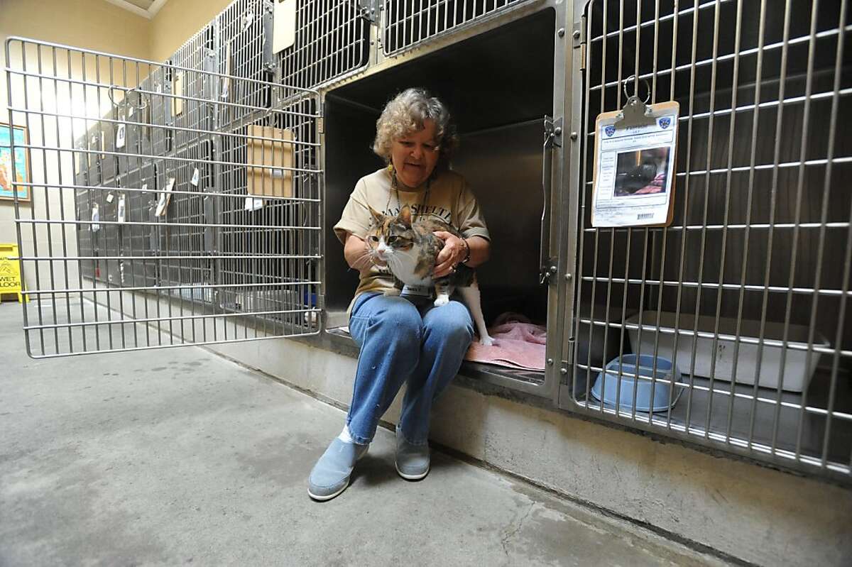 Betty Partlow, a volunteer for 15 years visits with Lucy at the Alameda Animal Shelter on Tuesday, October 25, 2011. Officials plan to announce the shelter is closing later in the day.