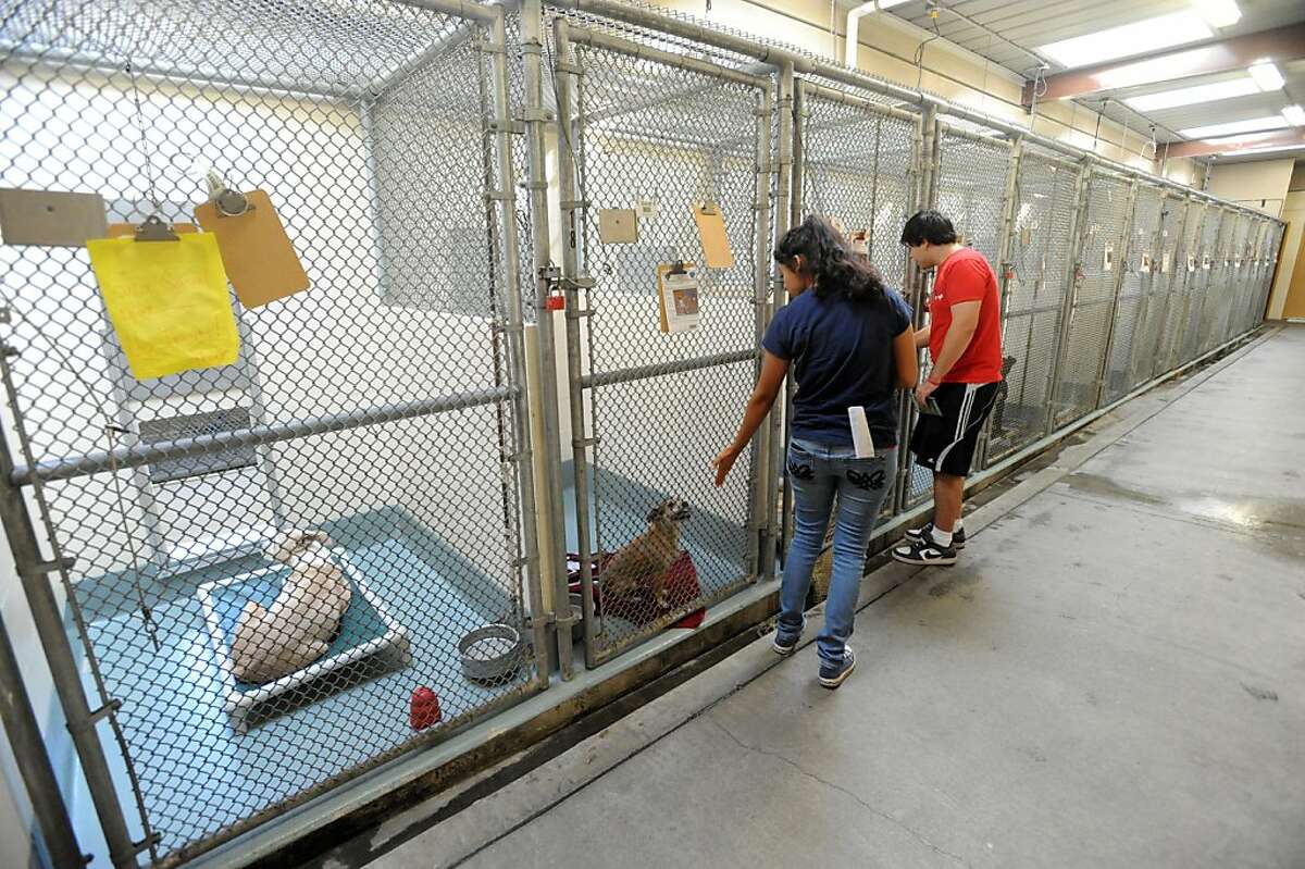 Alameda animal shelter to be run by volunteers