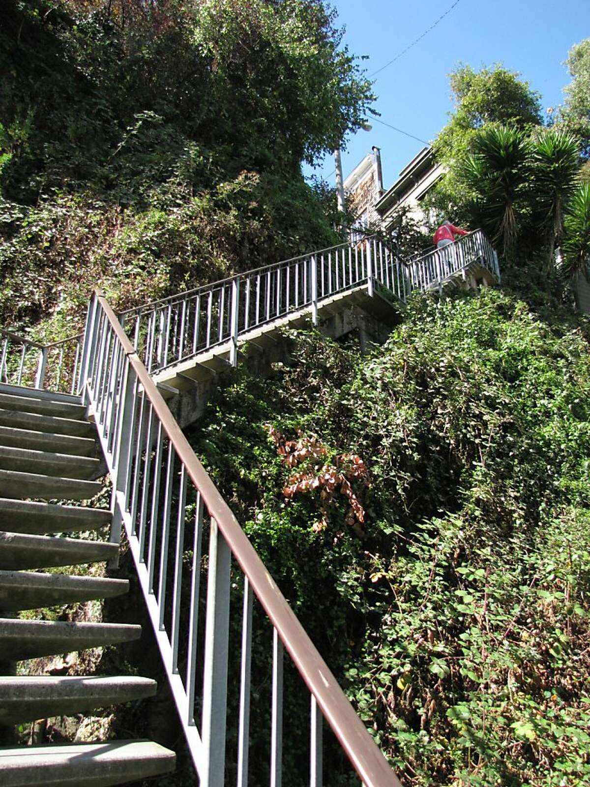 The Filbert Steps that ascend from the northeast waterfront to the top of Telegraph Hill are among the wonders of San Francisco, where city and landscape collide.