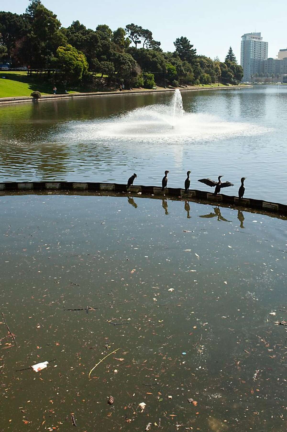 EPA California waters show widespread pollution